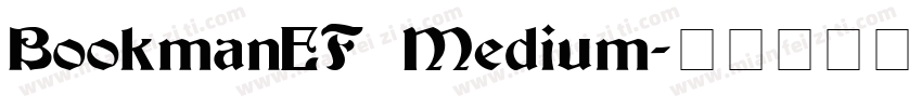BookmanEF Medium字体转换